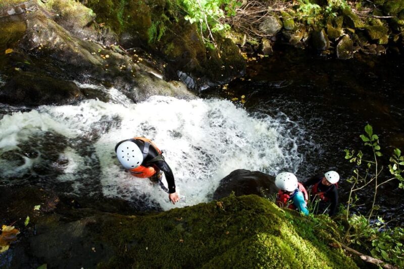 Loch Tay Gorge Walking - Booking and Pricing Details