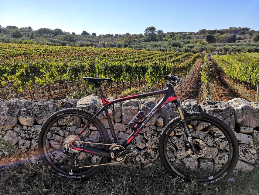 Locorotondo E-Bike Rental - Key Points