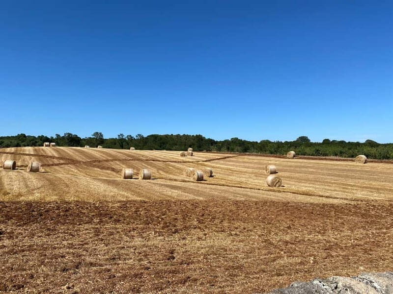 Locorotondo: E-Bike Tour to Alberobello with Ice Cream - The Sum Up