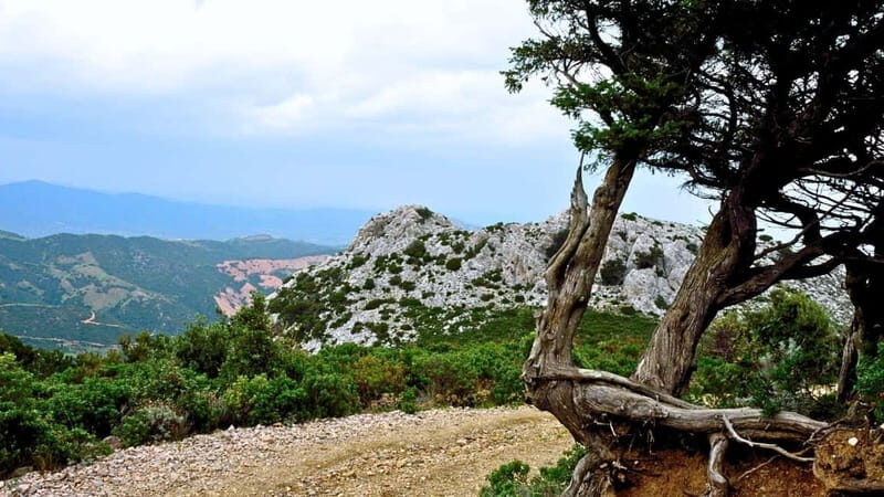 Lodè: trekking on Montalbo - Frequently Asked Questions