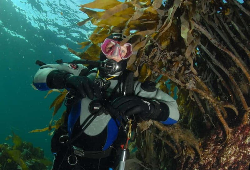 Lofoten: First Time Scuba Diving Experience - An In-Depth Look at the Lofoten First-Time Scuba Experience
