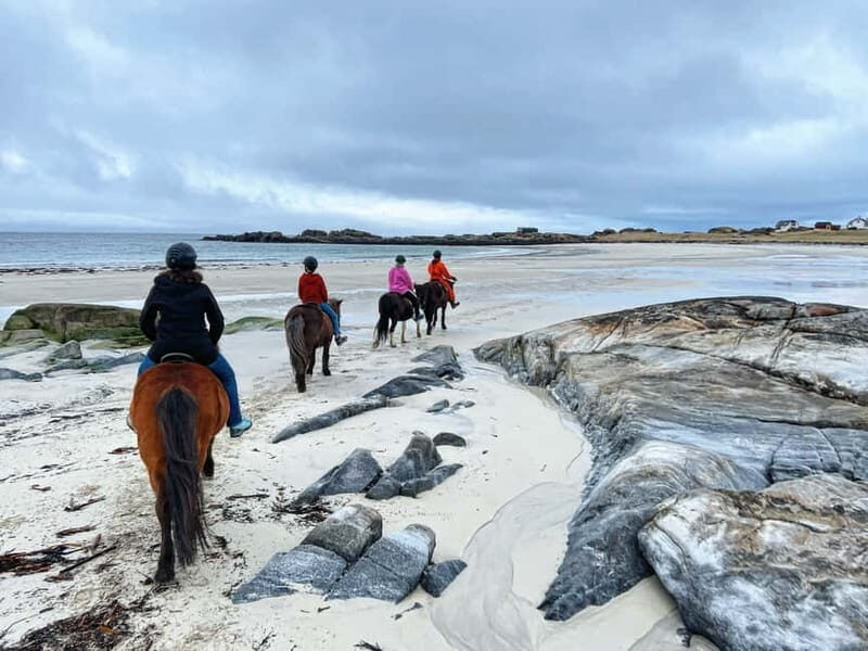 Lofoten: Guided Horse Riding Tour Over Hov and Hovsund - A detailed look at the Lofoten horseback experience