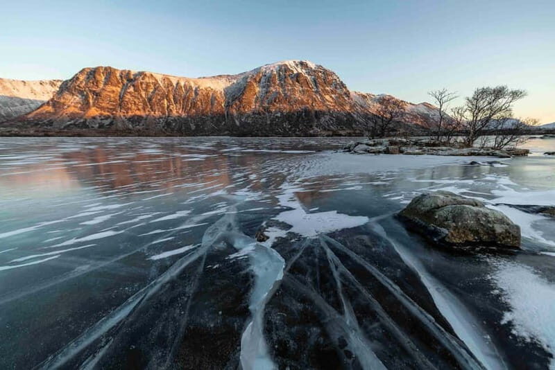 Lofoten: Half-Day Guided Tour with Photo Stops - An In-Depth Look at What the Tour Offers