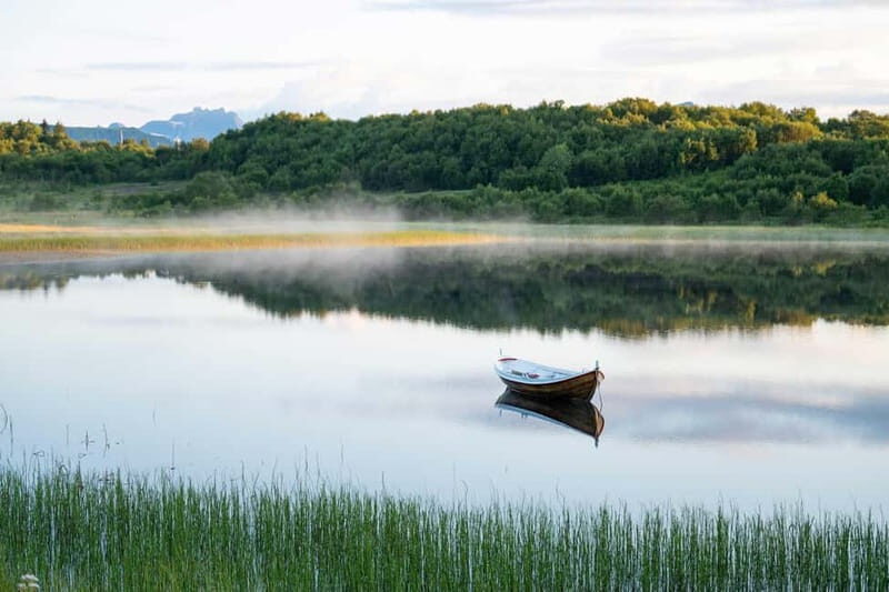 Lofoten: Half-Day Guided Tour with Photo Stops - Who Will Love This Tour?