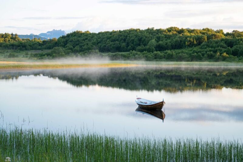 Lofoten: Half-Day Guided Tour with Photo Stops - Learning About the Region’s Past