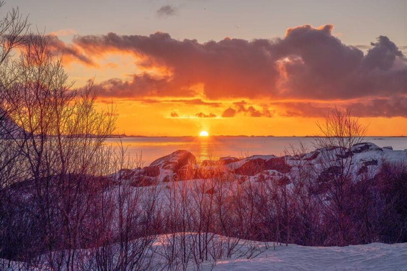Lofoten: Half-Day Guided Tour with Photo Stops - What’s Included and What’s Not