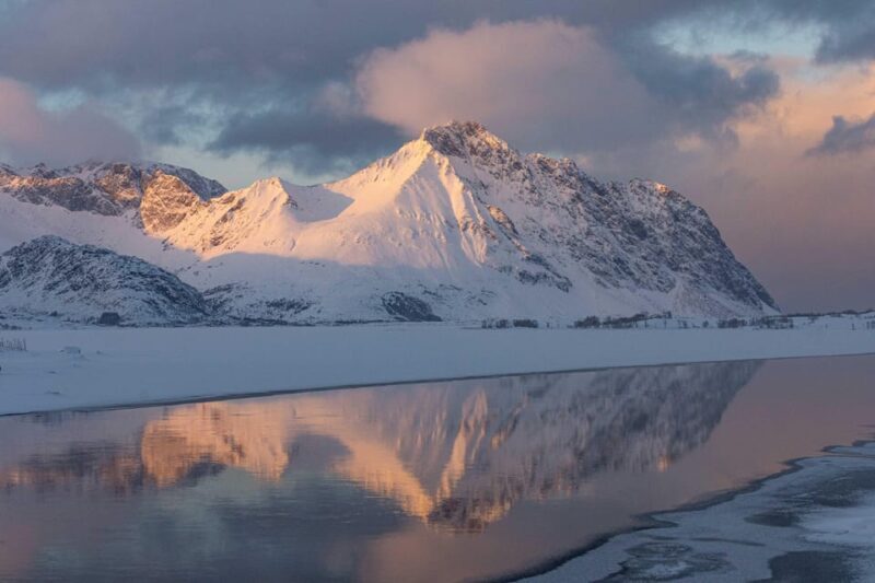 Lofoten: Half-Day Guided Tour with Photo Stops - Practicalities and Tips