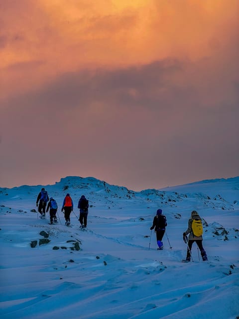 Lofoten: Half Day Snowshoe Tour - Introduction