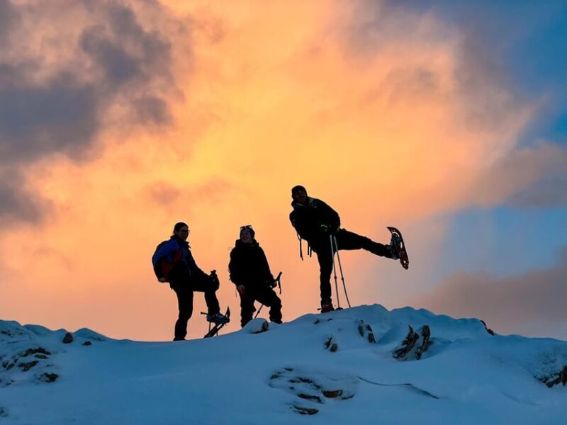 Lofoten: Half Day Snowshoe Tour - Key Points