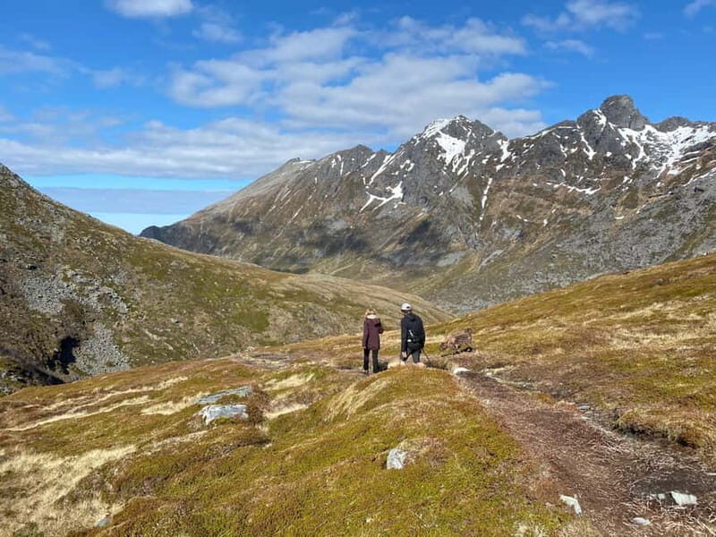 Lofoten Islands: Guided Hiking Into the Wilderness-Easy Tour - The Itinerary in Detail