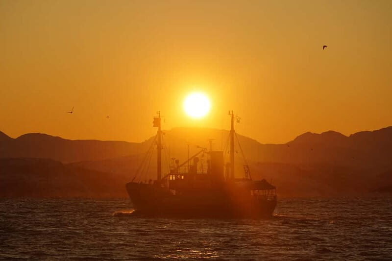 Lofoten Islands: Skrova Dinner Cruise - Practical Details and Logistics