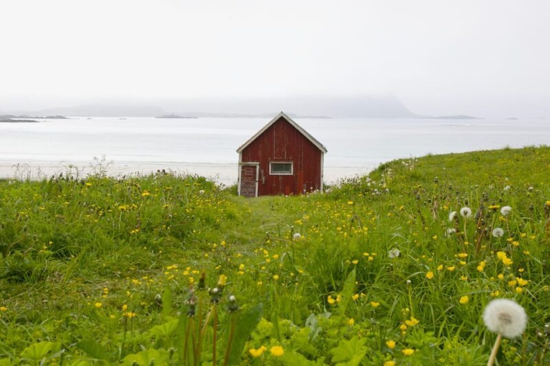 Lofoten: Private tour for cruise visitors (from Leknes) - Exploring Lofoten on a Private Cruise-Stop Tour  