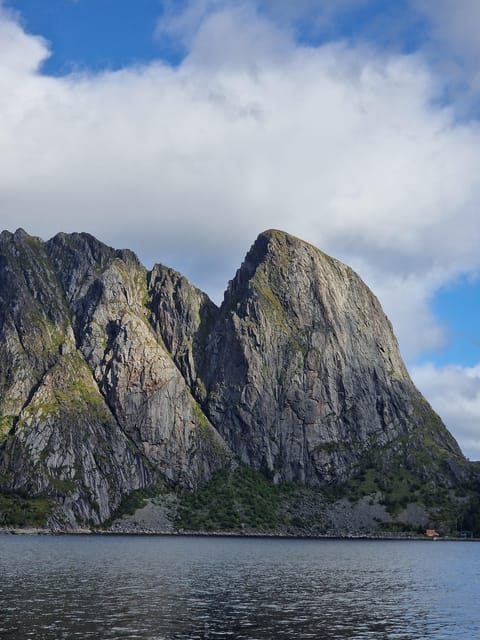 Lofoten: Reine, Hamnøy, and Skariskøya Photo Tour - Frequently Asked Questions