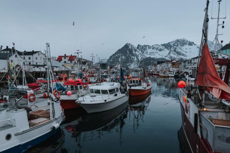 Lofoten Scenic Sightseeing Tour: Half day tour - A Deep Dive into the Lofoten Scenic Sightseeing Experience