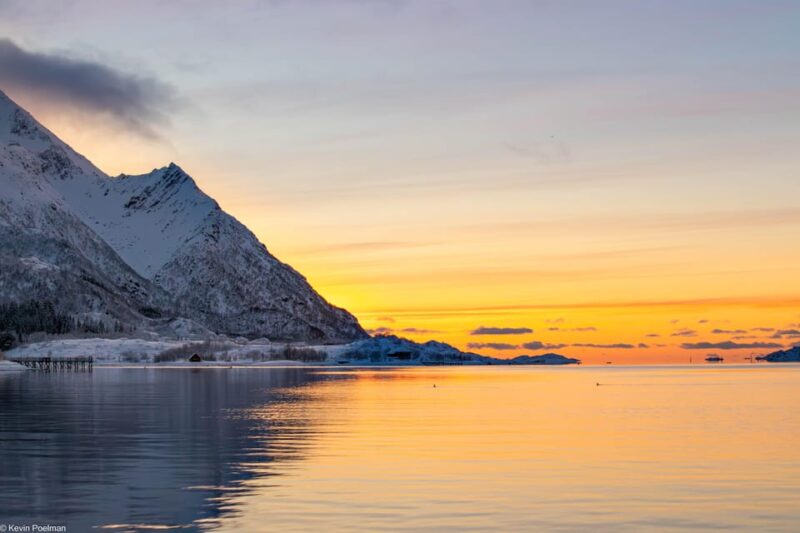 Lofoten: Trollfjord Sea Eagle Safari by RIB Boat - Languages and Accessibility
