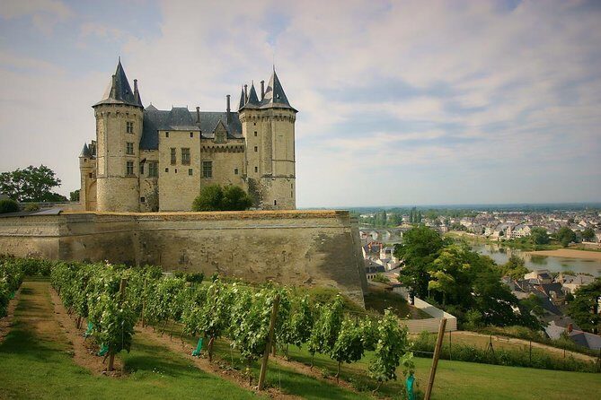 Loire Valley Castles and Wineries Private VIP Day Trip with Lunch - Introduction