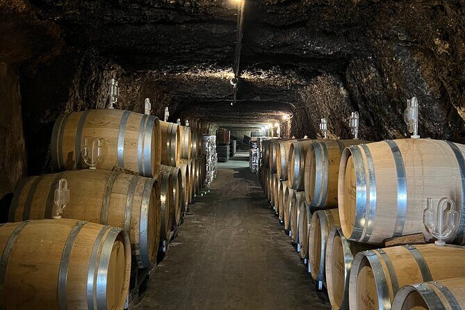 Loire Valley Chambord Castle and Wine Tasting from Paris - The Sum Up