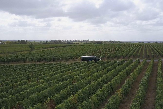 Loire Valley Half Day Wine Tour From Tours : Vouvray Wine Tasting - Inclusions and Restrictions
