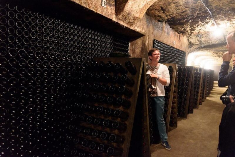 Loire Valley: Vouvray Vineyard Tour and Wine Tasting - Wine Tasting and Local Delicacies
