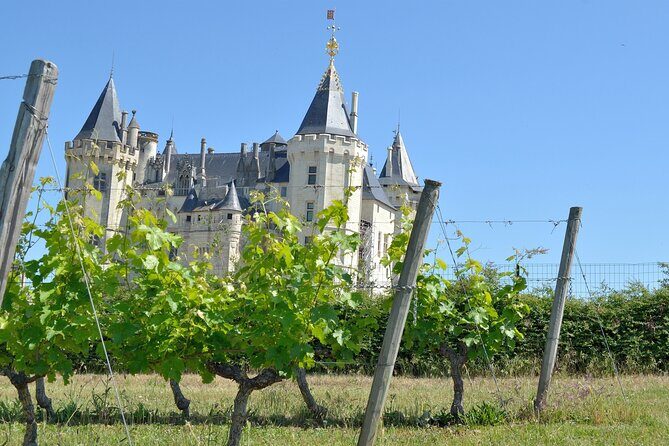 Loire Valley Wine Half Day Tour in Vouvray - Why This Tour Is a Great Choice