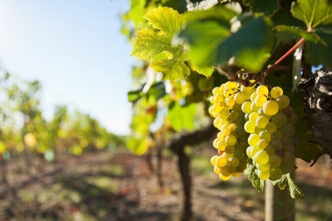 Loire Valley Wine Half Day Tour in Vouvray - FAQ