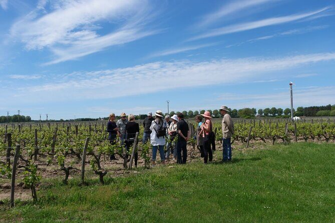 Loire Valley Wines Private Day Tour with Tastings from Tours or Amboise - Why this Loire Valley Wine Tour Stands Out