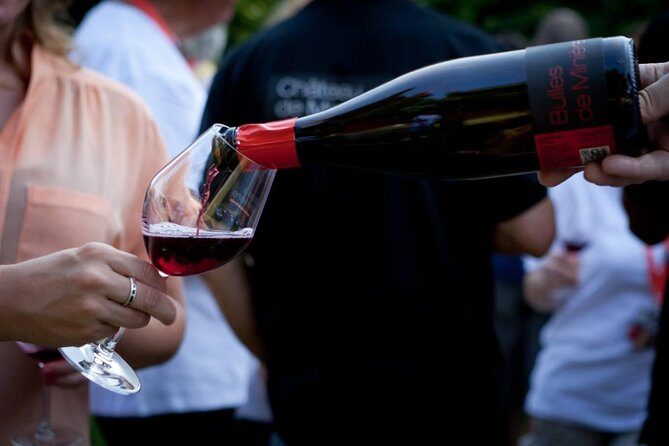 Loire Valley Wines Private Day Tour with Tastings from Tours or Amboise - Deep Dive into the Itinerary