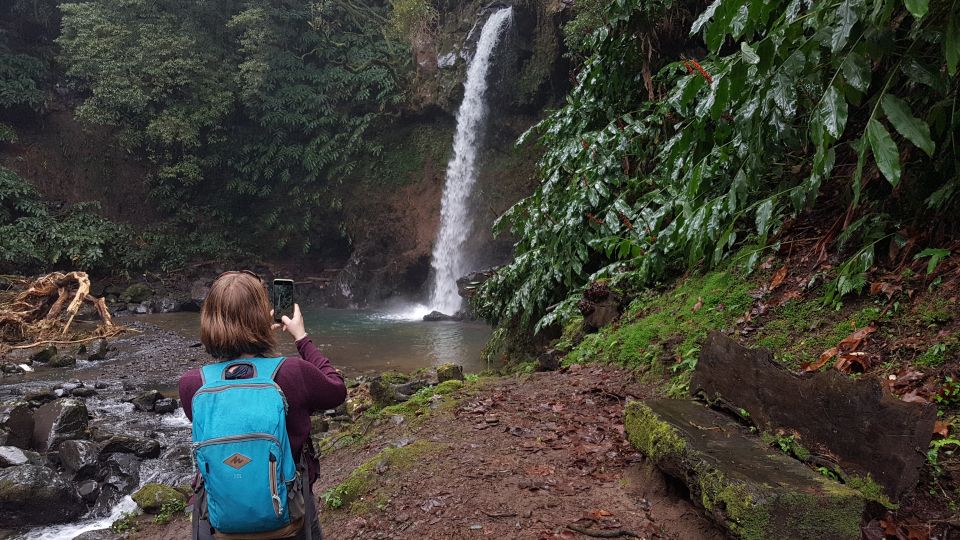 Lomba De São Pedro: Waterfall Hiking Tour With Tea Tasting - Discovering Gorreana Tea Plantation