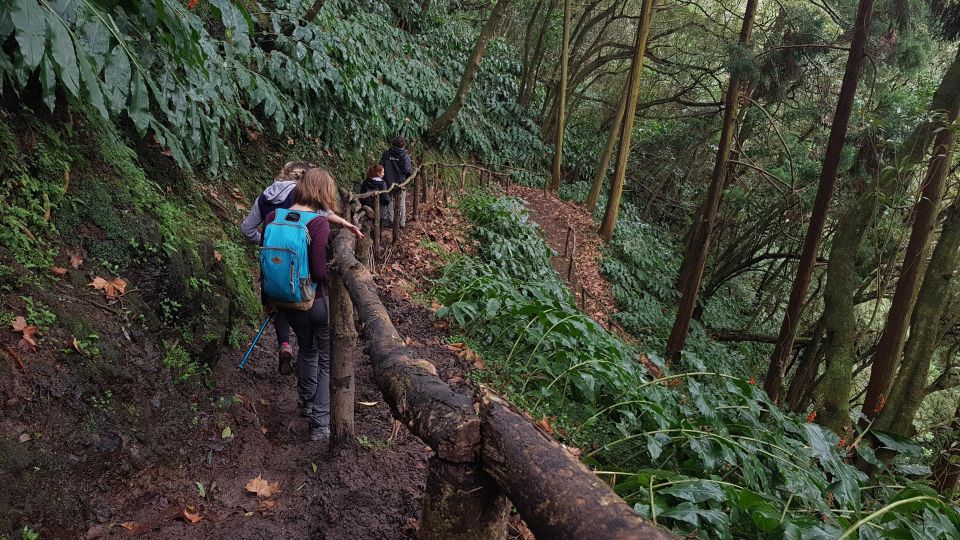 Lomba De São Pedro: Waterfall Hiking Tour With Tea Tasting - Pickup and Drop-off Locations