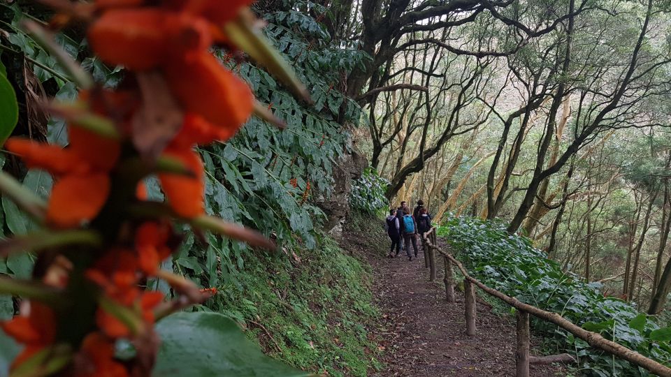 Lomba De São Pedro: Waterfall Hiking Tour With Tea Tasting - Suitability and Practicality