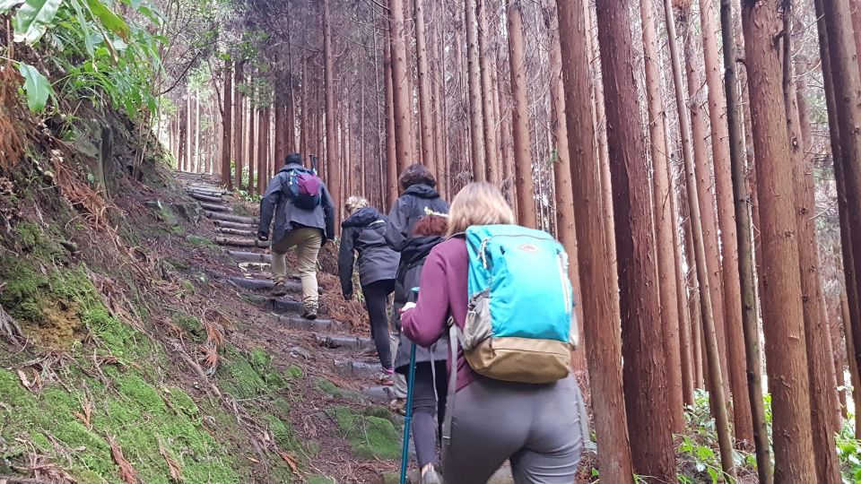 Lomba De São Pedro: Waterfall Hiking Tour With Tea Tasting - Frequently Asked Questions