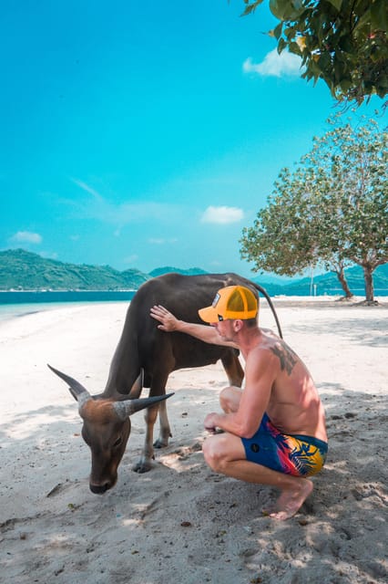 Lombk Beach Camp : Explore 8 Secret Gilis - Preparing for the Excursion