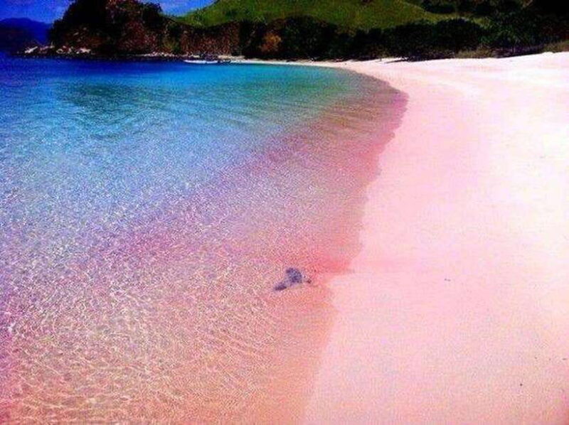 Lombok: 1-Day Pink Beach Tour in East Lombok - Frequently Asked Questions
