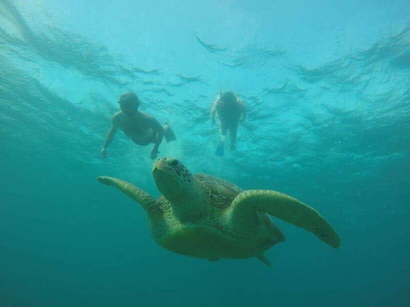 Lombok: 4-Day Sea Nomad Adventure to Labuan Bajo - Who Is This Tour Best For?