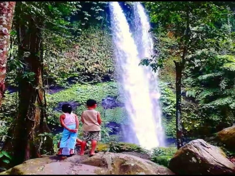 Lombok Biggest Waterfall - Sendang Gile & Tiu Kelep Tour - Important Information