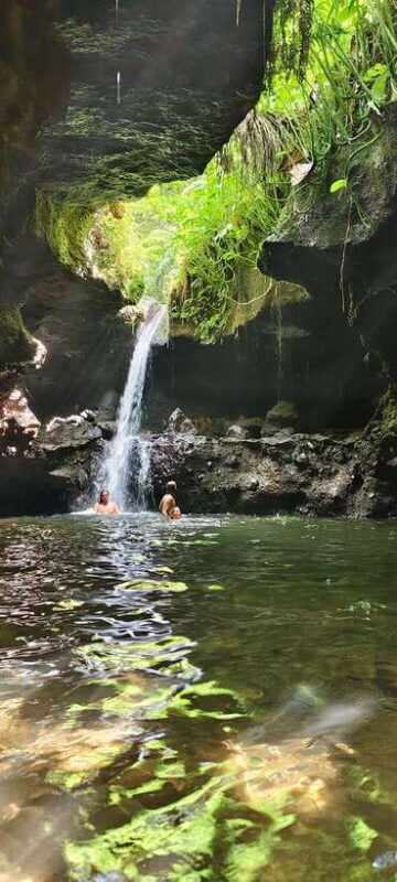 lombok : black monkey , rice terace ,waterfall tetebatu - Practical Info and Tips