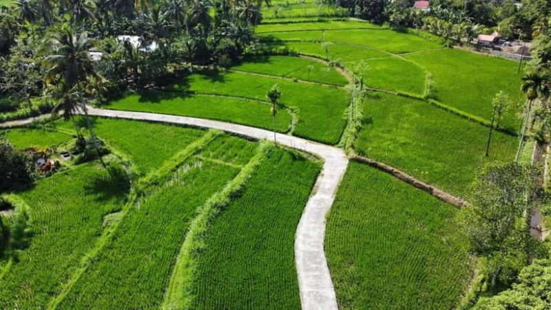 Lombok: Bonjeruk Local Village with Lunch and Workshop - An Honest Look at the Bonjeruk Village Tour