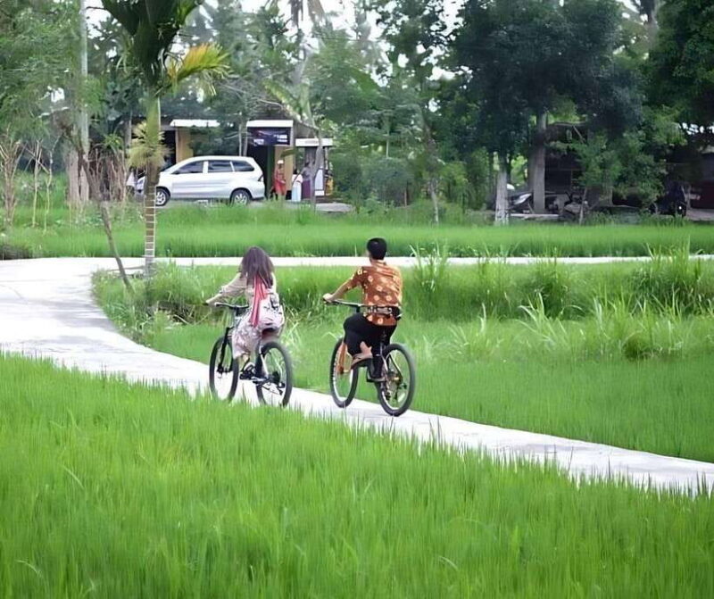 Lombok Bonjeruk Village Biking Tour + City Tour - An In-Depth Look at What to Expect