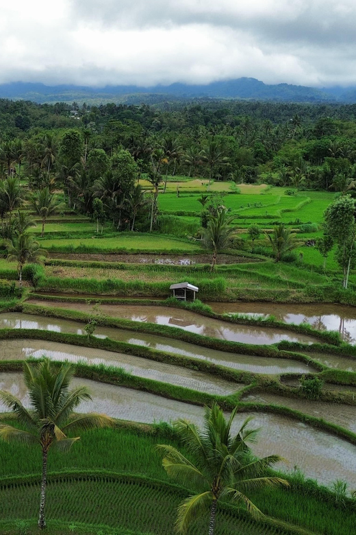 Lombok: Countryside Tour Tetebatu & Benang Stokel Waterfall - Itinerary Highlights
