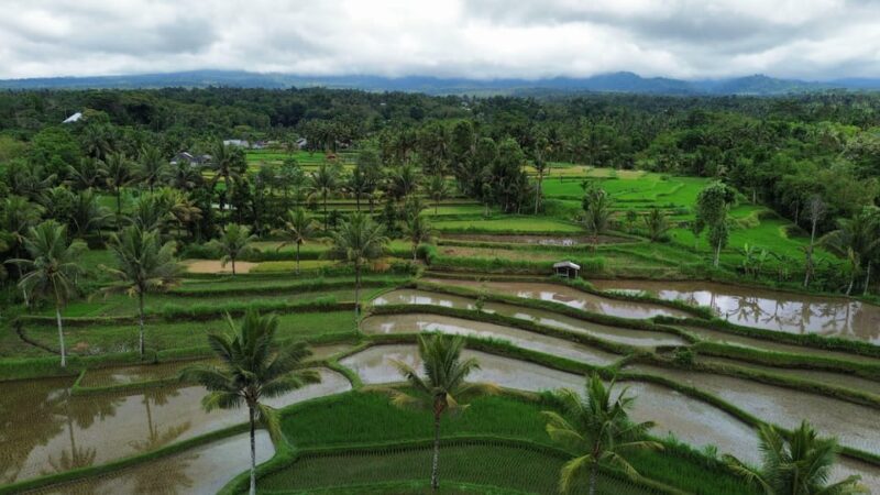 Lombok: Countryside Tour Tetebatu & Benang Stokel Waterfall - Experience Details
