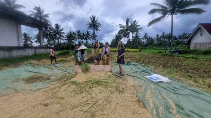 Lombok: Countryside Tour Tetebatu & Benang Stokel Waterfall - Frequently Asked Questions