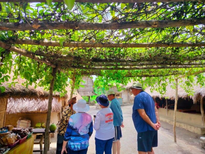 Lombok: Cultural Day Tour With Beach for Cruise Passengers - Included Services