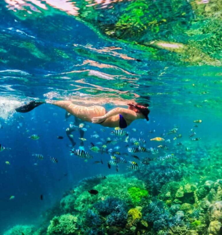 Lombok Day Trip: Gili Nanggu Snorkeling trip - Exploring the Real Value of the Gili Nanggu Snorkeling Trip