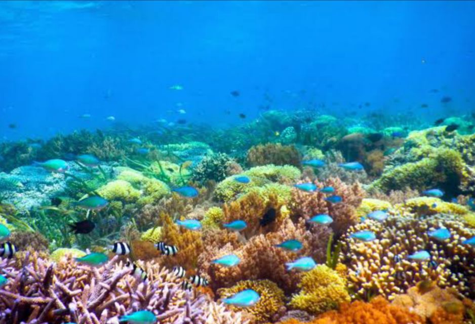 Lombok Day Trip: Snorkeling Trip_Secret Island - Tour Details