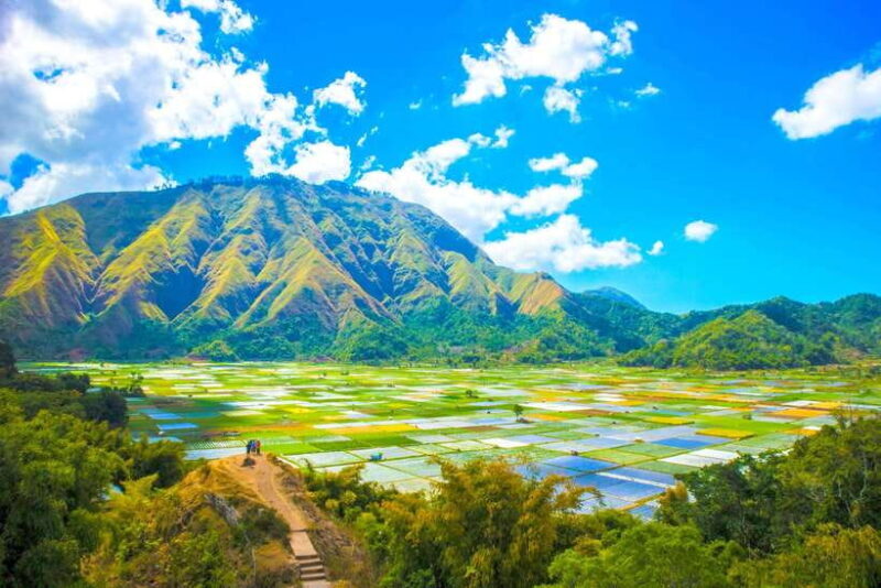 Lombok: Exclusive Sendang Gile, Tiu Kelep & Selong Hill Tour - The Transportation & Guides: Why They Matter  
