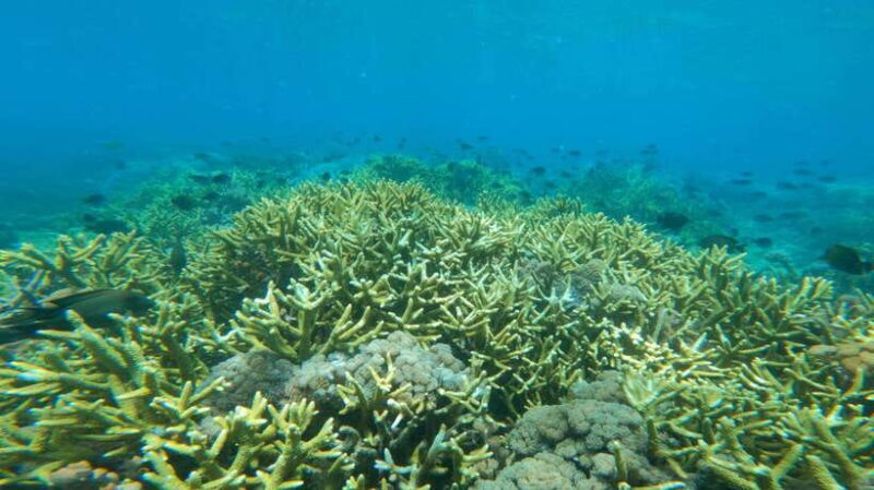 Lombok: Exotic Beach And Beautiful Snorkeling - Key Points