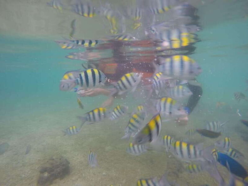 Lombok: Gili Islands Boat Trip with Snorkeling - Logistics and Practicalities: What You Need to Know