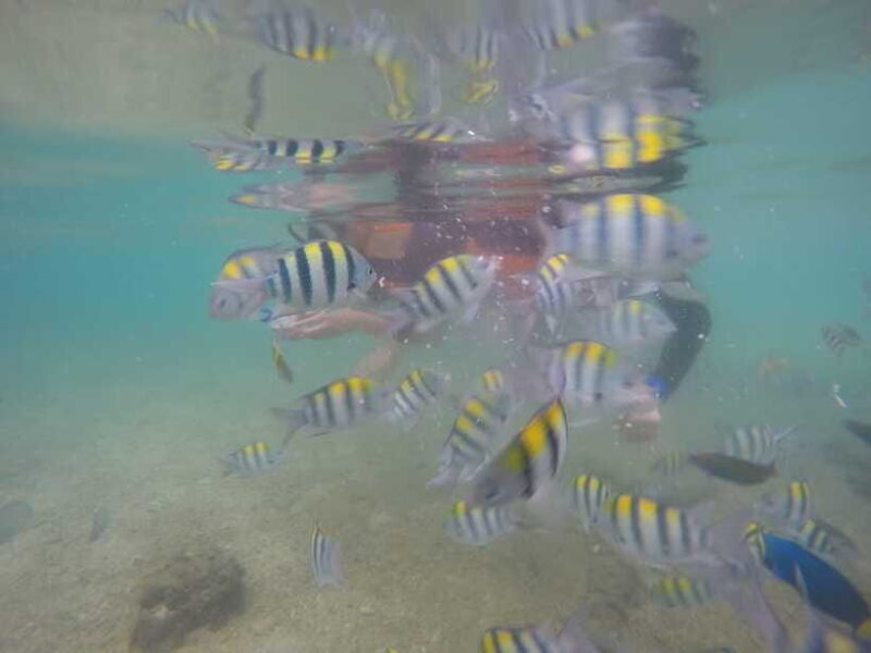 Lombok: Gili Islands Boat Trip with Snorkeling - Final Thoughts: Is This Tour Worth It?