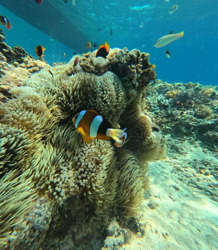 Lombok: Gili Islands Glass Bottom Boat Tour with Snorkeling - An In-Depth Look at the Gili Islands Glass Bottom Boat Tour