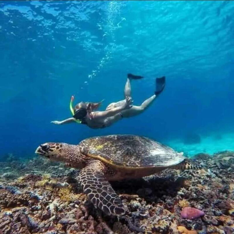 Lombok : Gili Islands Private Snorkeling Tour - FAQ